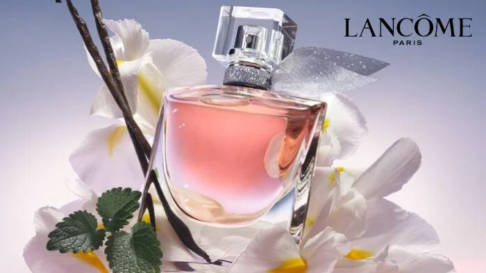 Best French Perfume Brands For Women Bontena Brand Network