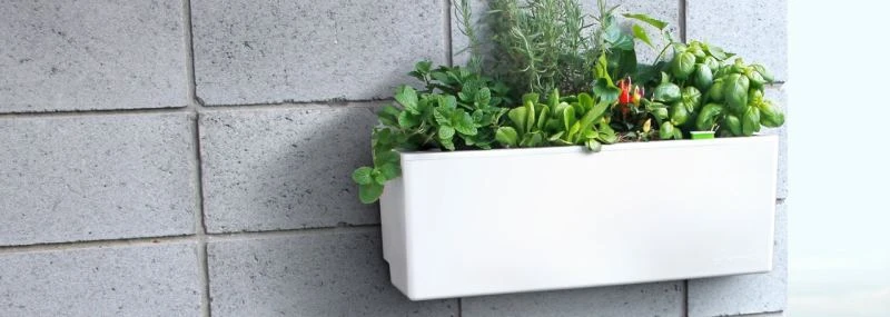 Glowpear Mini Wall