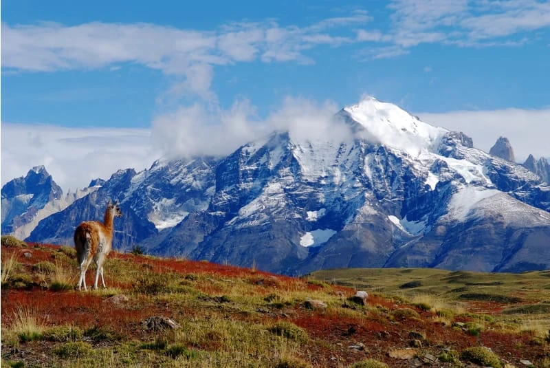 explora Patagonia