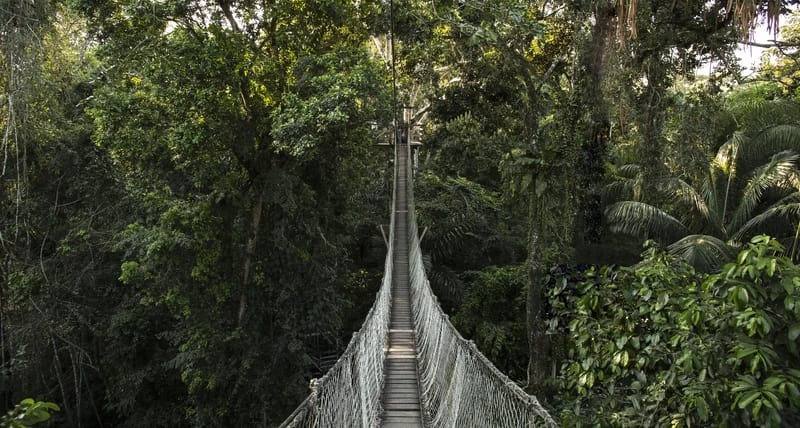 Inkaterra Reserva Amazónica