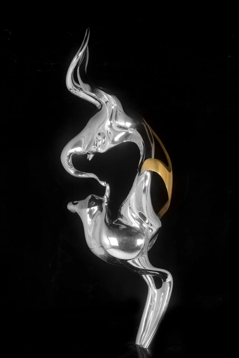 Masoud Akhavanjam, Metamorphosis