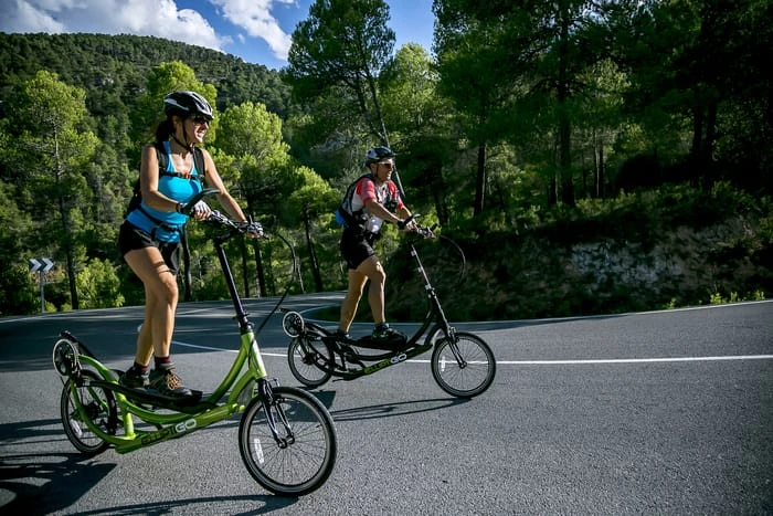 ElliptiGO Elliptical Bicycles, Long-Stride Family