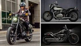 The Best Cruiser Motorcycle Brands