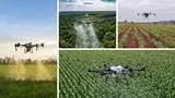 The Best Drone Brands for Agriculture
