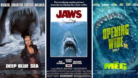 The Best Shark Movies of All Time