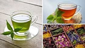 The Most Famous Coffeehouse Chains for Tea Enthusiasts