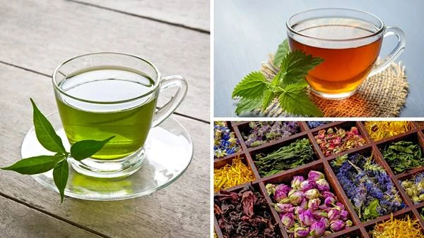 The Most Famous Coffeehouse Chains for Tea Enthusiasts
