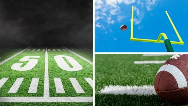 What Is Your Favorite NFL Team?