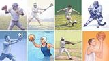 What is Your Favorite Team Sport?