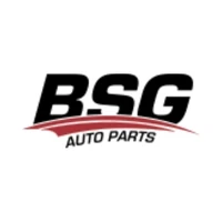 BSG