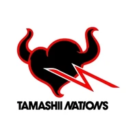 TAMASHII NATIONS
